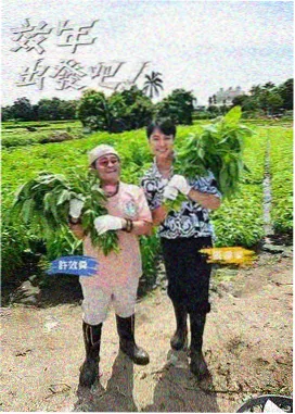 悟空影视 谍战风云